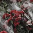 Чупа-чупс со жвачкой внутри (Умберто Эко «Пражское кладбище») [by Алексей Абраменко]